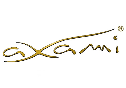 Axami Axami
